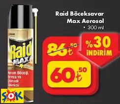 RAİD BÖCEKSAVAR MAX AEROSOL RAİD BÖCEKSAVAR MAX AEROSOL